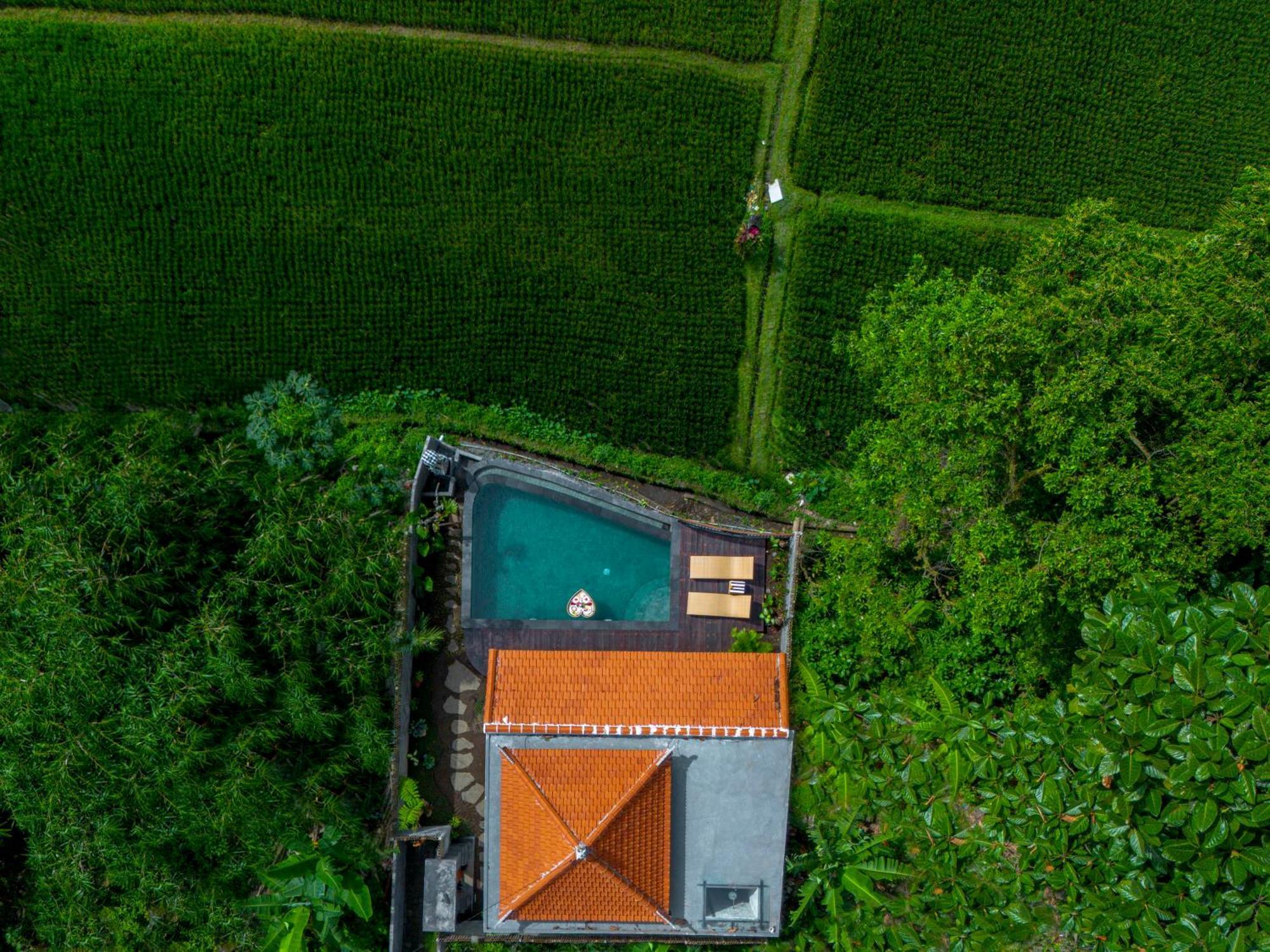 Jatining Ubud Villa & Spa Exteriér fotografie